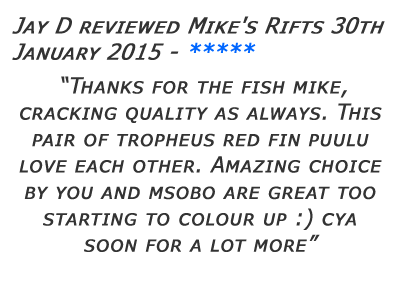 Mikes Rifts Review 15